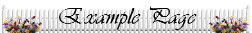 Example Page